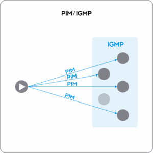 PIM/IGMP